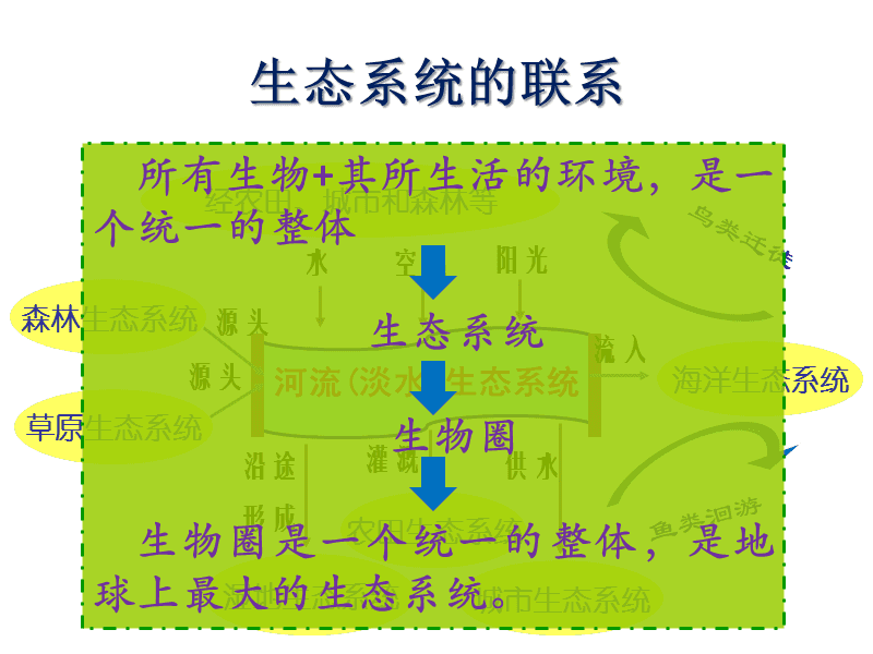 意思是不是轻声词_ecosystem是什么意思_意思是什么