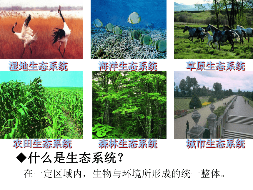 意思是不是轻声词_意思是什么_ecosystem是什么意思