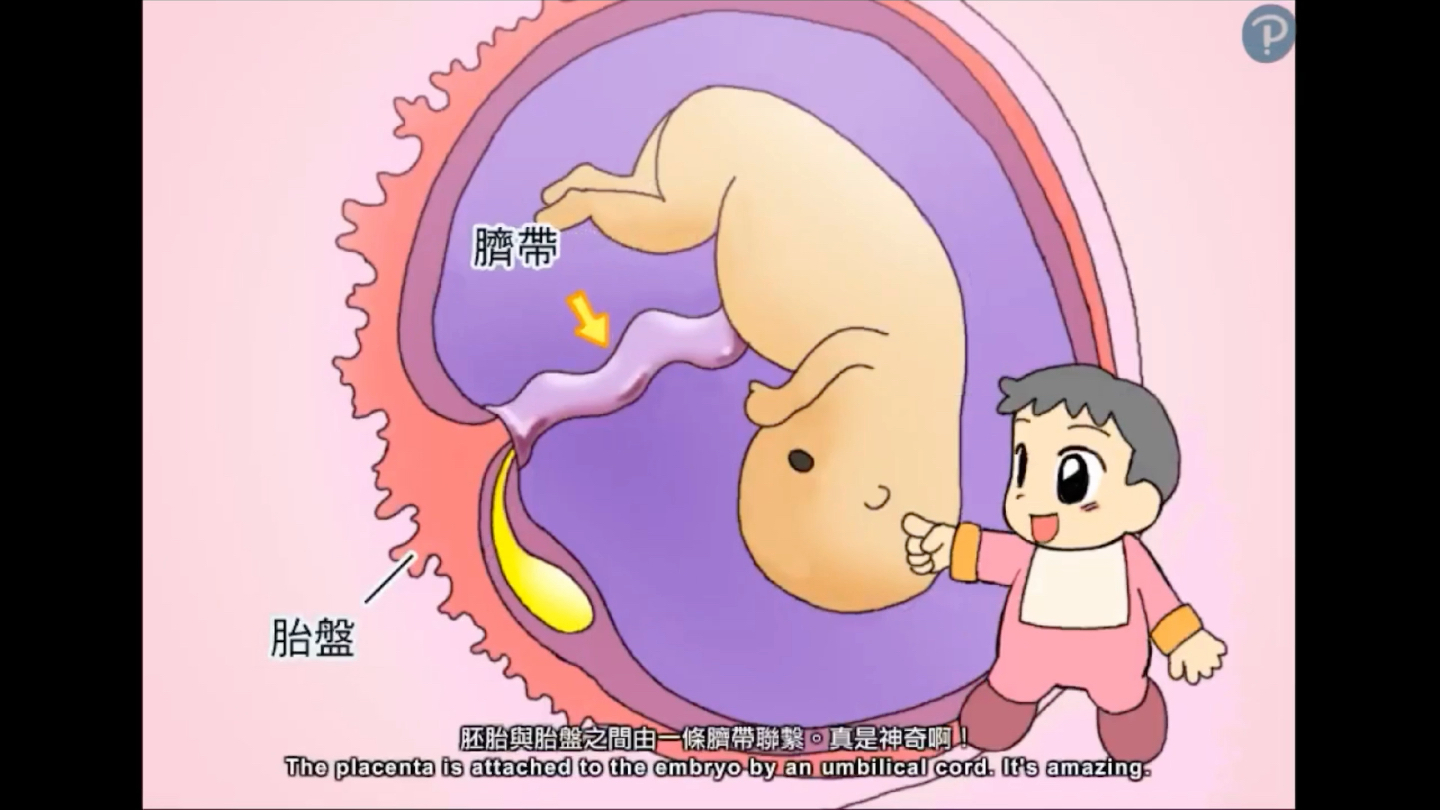 东坝医院妇产科：温暖港湾，迎接新生命的诞生