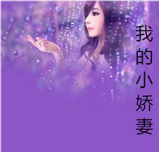 loic教程_教程网络_教程视频