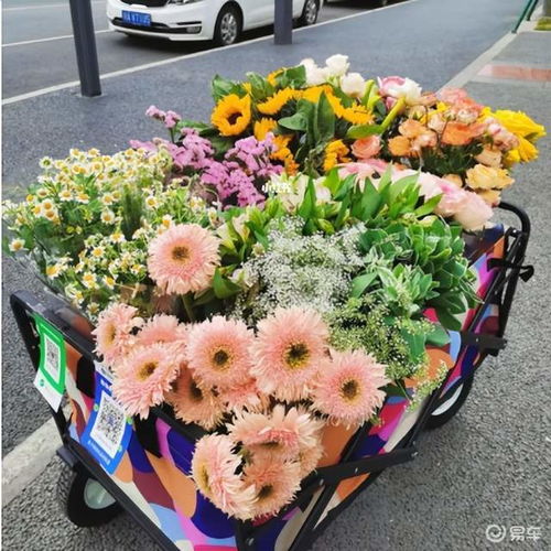 卖花小游戏,卖花小游戏的欢乐冒险之旅