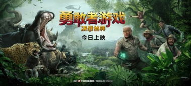 勇敢者的游戏3 下载,探寻未知领域的奇幻