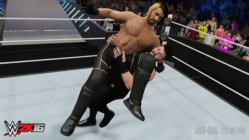 wwe电脑游戏,荣耀征途