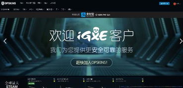 op游戏交易,OP游戏交易背后的精彩故事