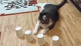 猜酒杯游戏,揭秘心理奥秘