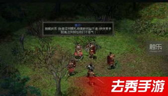 责任者游戏,揭秘角色扮演背后的责任与挑战