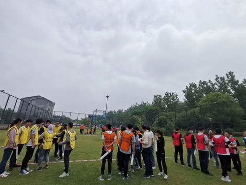 信任拓展游戏,构建团队默契的互动之旅