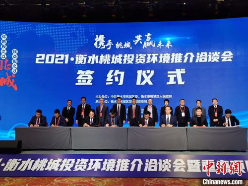 河北游戏公司,打造国产游戏新标杆