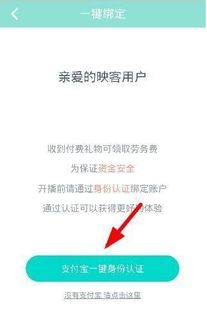 映客认证游戏达人,揭秘游戏直播界的璀璨明