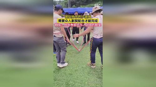 体现团队合作的小游戏,团队协作游戏体验记