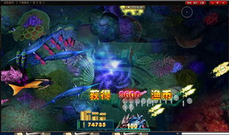 0107游戏,揭秘神秘数字背后的奇幻冒险