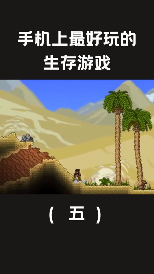 好玩的生存游戏手机版推荐,盘点十大好玩的