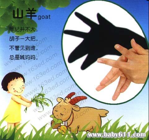幼儿园手影游戏,光影互动乐趣无限
