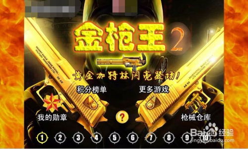 金枪小游戏,体验刺激的射击冒险之旅