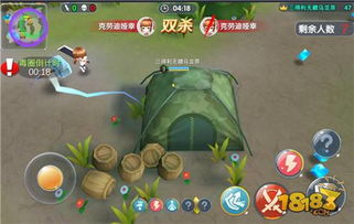 贤情游戏,探寻智慧与情感的交织之旅