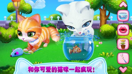 小猫游戏免费下载,开启欢乐无限之旅