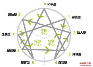 九型人格游戏,探索自我与他人的独特性格密