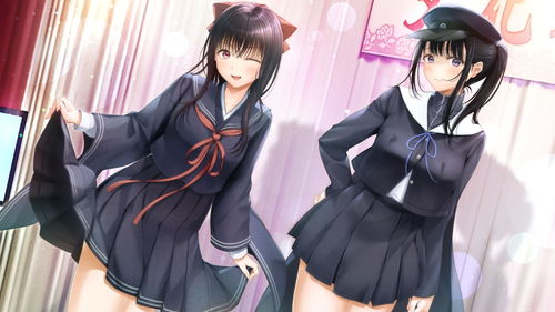 日本制服游戏,日本制服游戏中的青春校园生