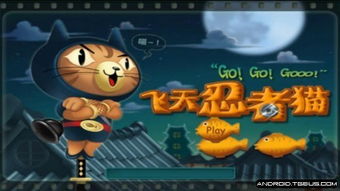 飞猫小游戏,体验刺激冒险之旅