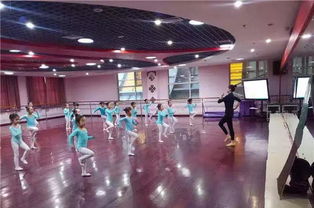 幼儿舞蹈课的舞蹈游戏,幼儿舞蹈课游戏化教学探索
