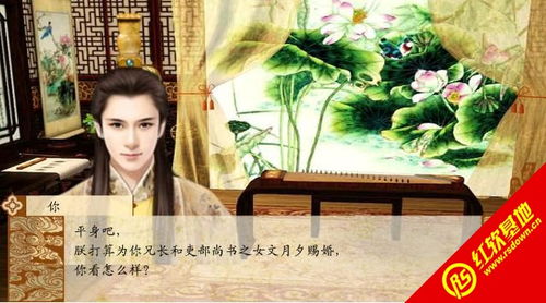 皇帝秘史游戏,皇帝秘史游戏深度解析