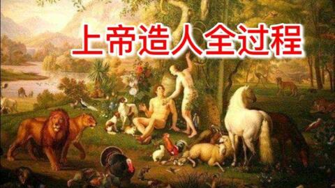 上帝造人游戏,创世神话中的智慧与启示