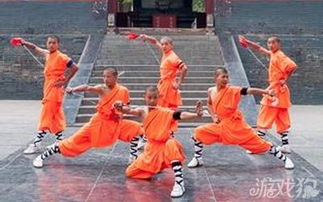 少林武功游戏,江湖岁月