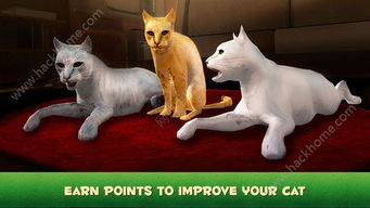 3d游戏猫见,探索3D虚拟世界的奇幻之旅