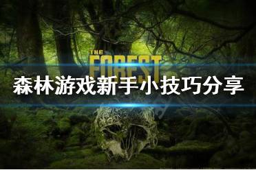 森林游戏种,揭秘自然游戏中的生态奥秘