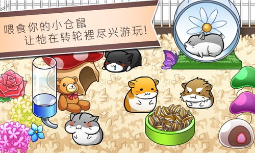 领养仓鼠游戏,领养仓鼠的欢乐冒险之旅