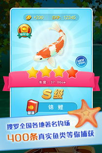 超级钓鱼游戏,收获满满欢乐