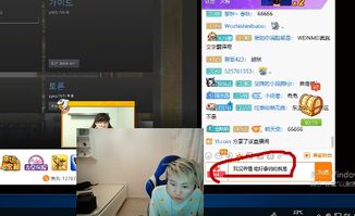 游戏直播字幕,揭秘电竞世界