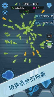 细菌感染游戏,一场微观世界的生存挑战