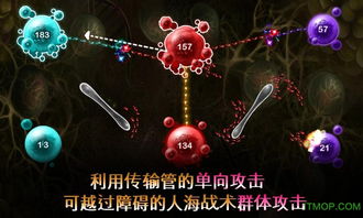 细胞繁殖游戏,生命起源与进化之谜的细胞游戏解析