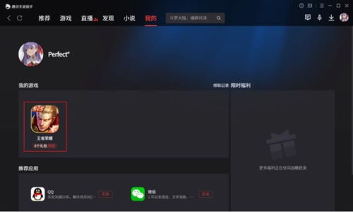 双开游戏方法,揭秘高效游戏操作技巧