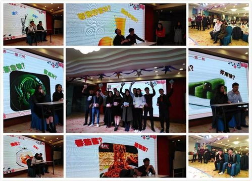 会议游戏环节,互动乐趣与团队凝聚力的完美