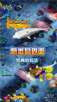 乐其游戏捕鱼,尽享捕鱼乐趣
